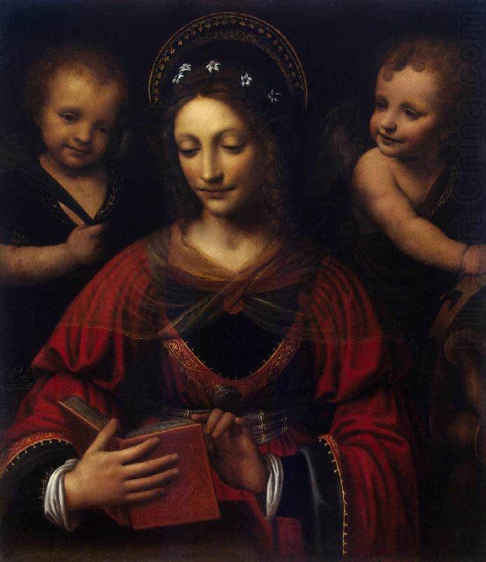 Bernardino Lanino Saint Catherine oil painting picture
